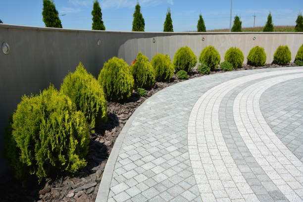 Best Concrete Paver Driveway  in Pleasant Valley, MO